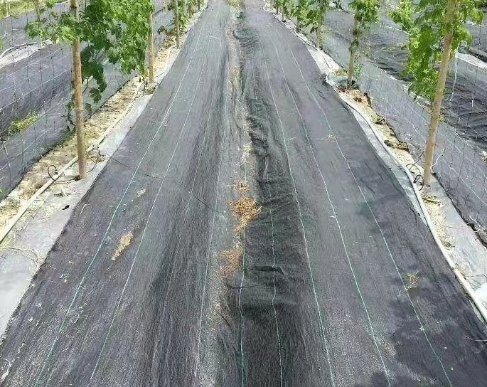 防草布的用途及效果防草布又稱之為“園林地布”、“雜草抑 制席”、“抑草布”，是一種縱橫編織的塑料編織布，透氣性好、滲水快、防水 治雜草生長的一種園藝和農業用地面防草布。可以有 效抑制各種雜草的生長，由于這種地面防草布的透氣性好，滲水快，使得植物根部的吸收水分能力得到提高，有益于植物的生長，防止根部腐爛，單相線標志的設置，使的在溫室內或室外擺放花盆或安排栽培基質時，可根據標志線來準確進行安排，提高勞